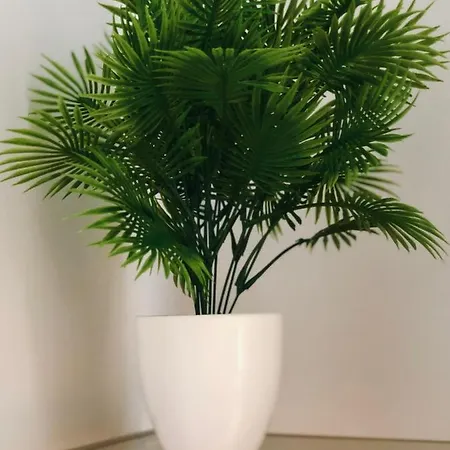 Apartment Green Stone Iii *